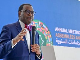 AfDB President asks Private Sector to Invest more in Green Infrastructure