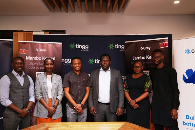 Nigeria’s Fintech Start-up Grey