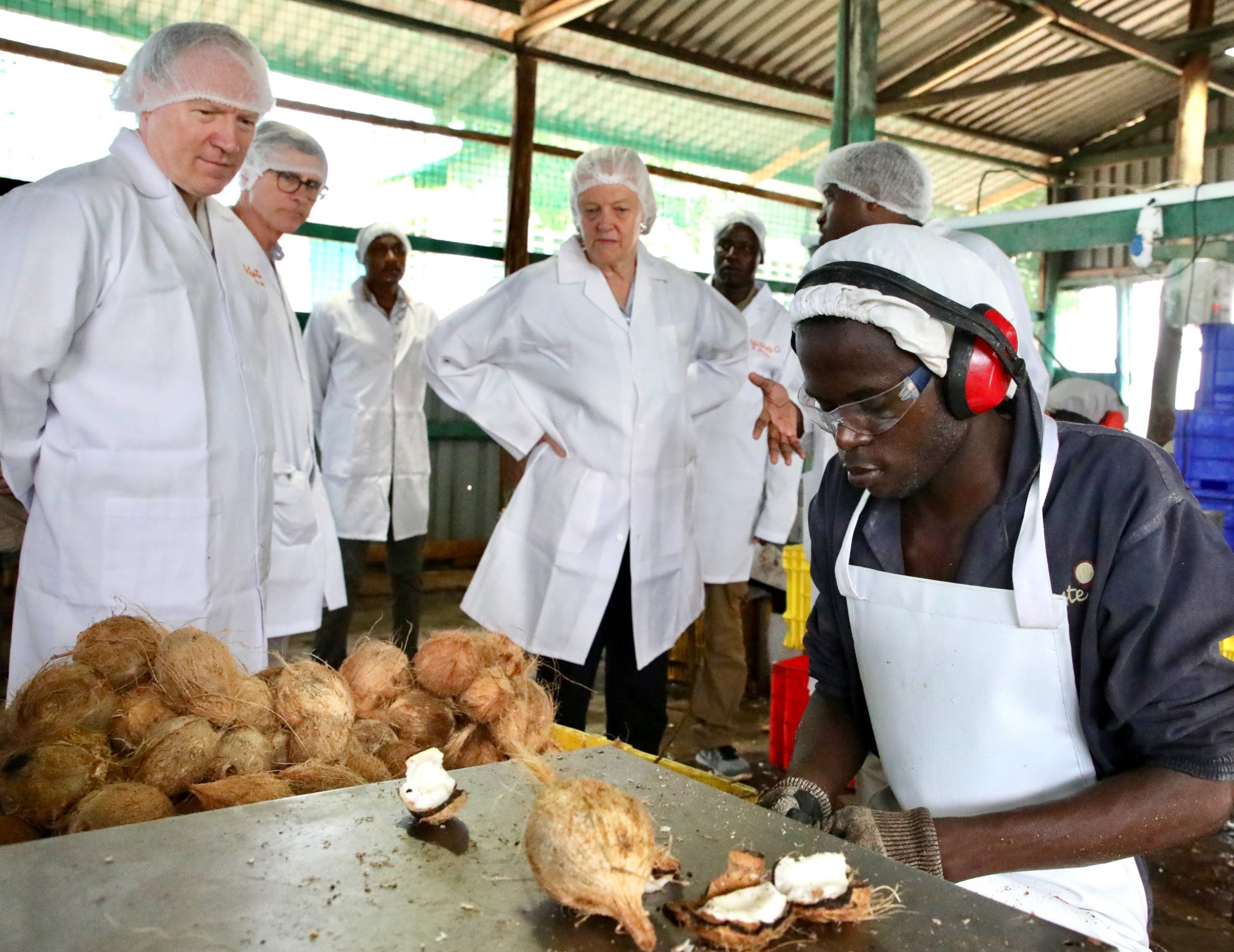 Kenya to get Coconut funding from US government