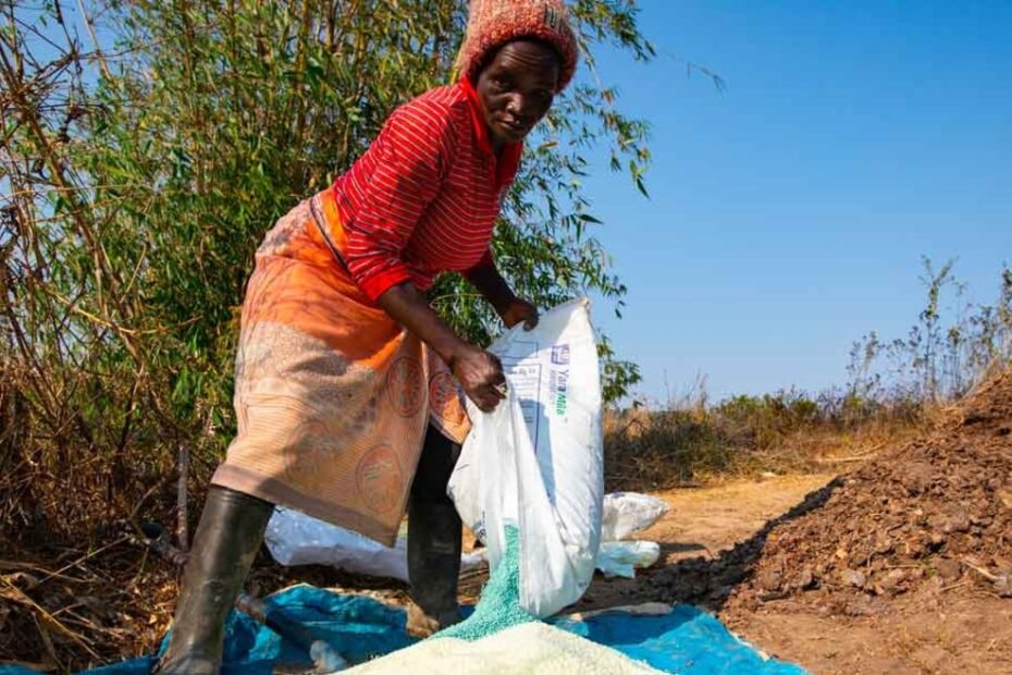 AfDB Boosts Ugandan Farmers with $2.9 Million in New Fertilizer Financing